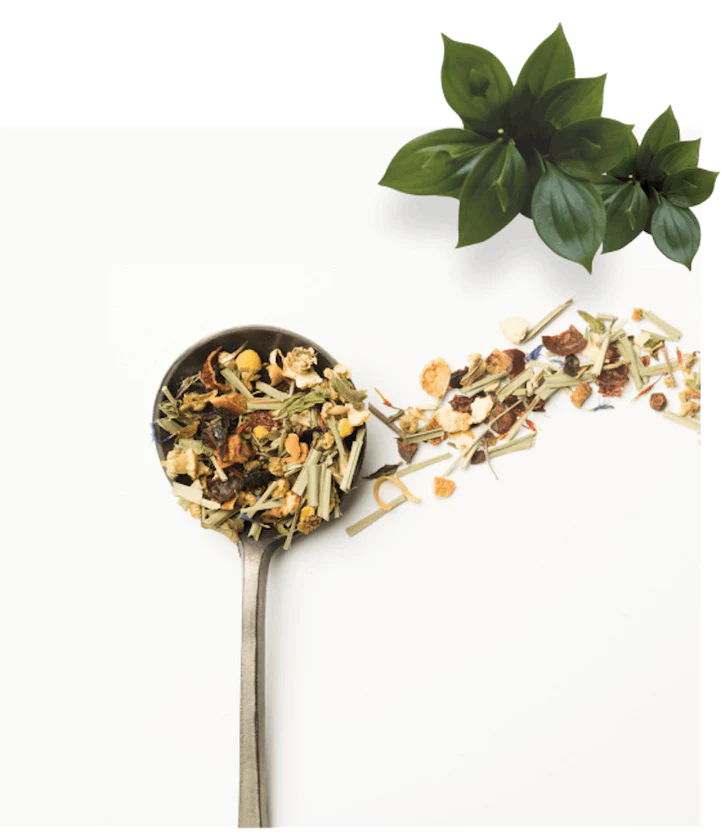 Holistic Healing Through Plant Power